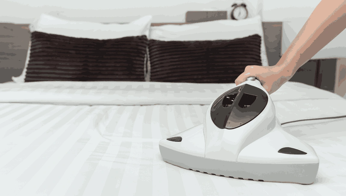 Professional Mattress Cleaning Flinders